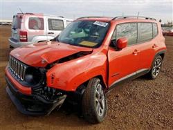 جيب رينيجيد